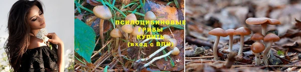 спайс Ростов