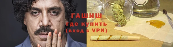 сатива Рославль