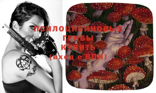 MESCALINE Аркадак