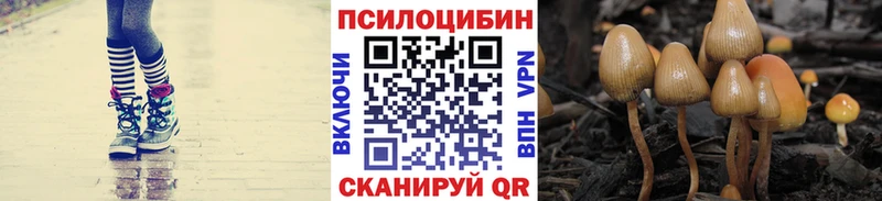 купить  цена  blacksprut ссылка  Псилоцибиновые грибы Cubensis  Теберда 